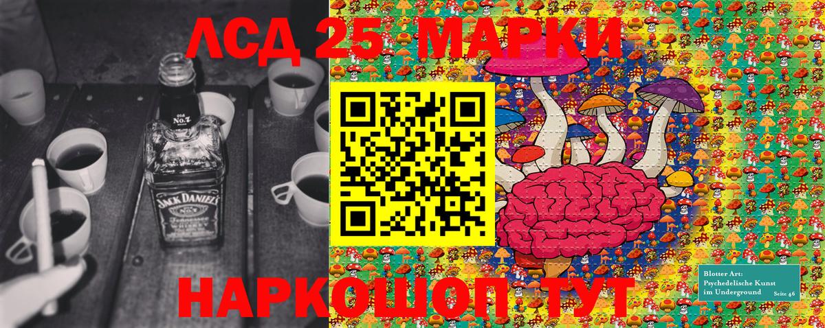 Марки NBOMe 1500мкг  Вход с VPN  Марки 25I-NBOMe  Свободный  Марки NBOMe 1500мкг 