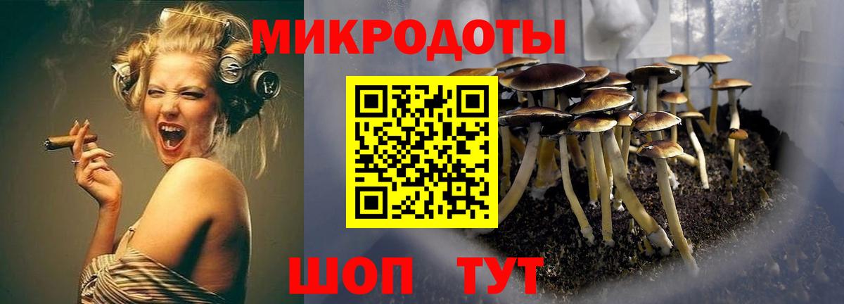 Псилоцибиновые грибы Cubensis  Вход с VPN  Свободный 